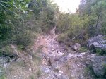 Imagen085 (Medium).jpg