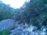 Imagen086 (Medium).jpg