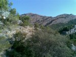 Imagen090 (Medium).jpg