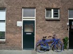 DSC04118.jpg