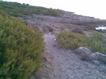 Imagen003 (Medium).jpg