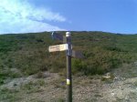 Imagen048 (Medium).jpg