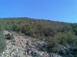 Imagen053 (Medium).jpg