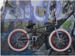 bmx pablin.jpg