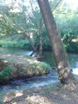 DSC00709.jpg