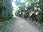 DSC00746.jpg