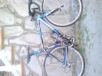 DSC00587.jpg