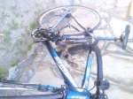 DSC00588.jpg