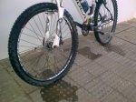 28082009_003.jpg