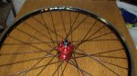 DSC00180.jpg