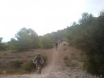 DSC01294.jpg