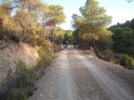 DSCF5516.JPG