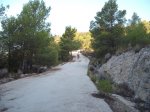 DSCF5519.JPG