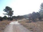 DSCF5551.JPG
