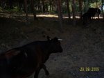 100_1145.jpg