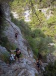 DSCN7781.jpg