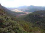 DSCN7784.jpg