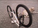 2009-08-26 18-46-1411869_redimensionar.JPG