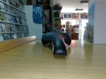 10082009896.jpg