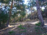 Foto12.JPG