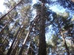 Foto21.JPG
