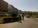 29082009319.jpg