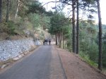 IMG_0823.jpg