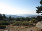 IMG_0830.jpg