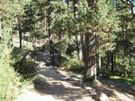 IMG_0846.jpg
