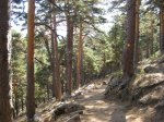 IMG_0854.jpg