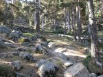 IMG_0857.jpg