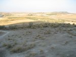 IMG_7403.JPG
