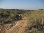 IMG_7425.JPG