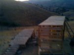 DSC02255.jpg