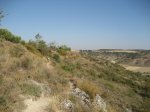 IMG_7441.JPG