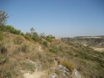 IMG_7442.JPG