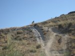 IMG_7459.JPG