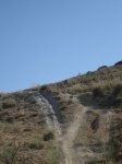 IMG_7462.JPG