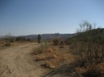 IMG_7473.JPG