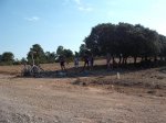 DSCF5713.JPG