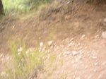 salida 29-08-09 066 [Desktop Resolution].jpg
