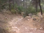 salida 29-08-09 070 [Desktop Resolution].jpg