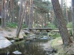 DSCN5984.jpg