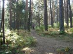 DSCN5991.jpg