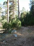 DSCN6011.jpg