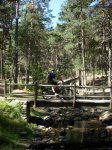DSCN6033.jpg
