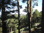 IMG_0867.jpg
