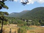 IMG_0884.jpg