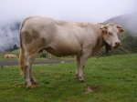 Calpe-Jaurrieta 150.jpg