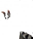 esfinter.jpg